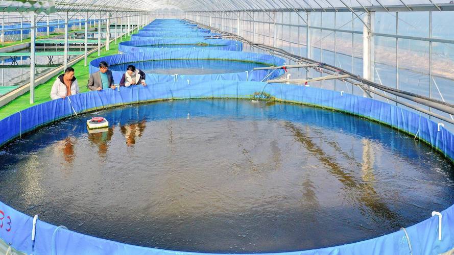 水产养殖行业测量仪表丨液位/水位测量/料位开关丨HBRD雷达液位计