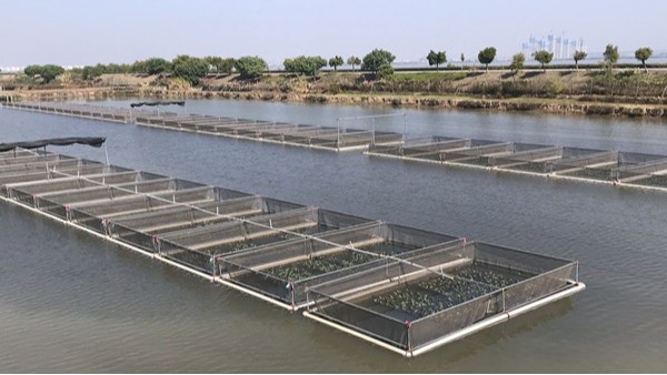 雷达物位计在水产养殖行业中的应用与优势